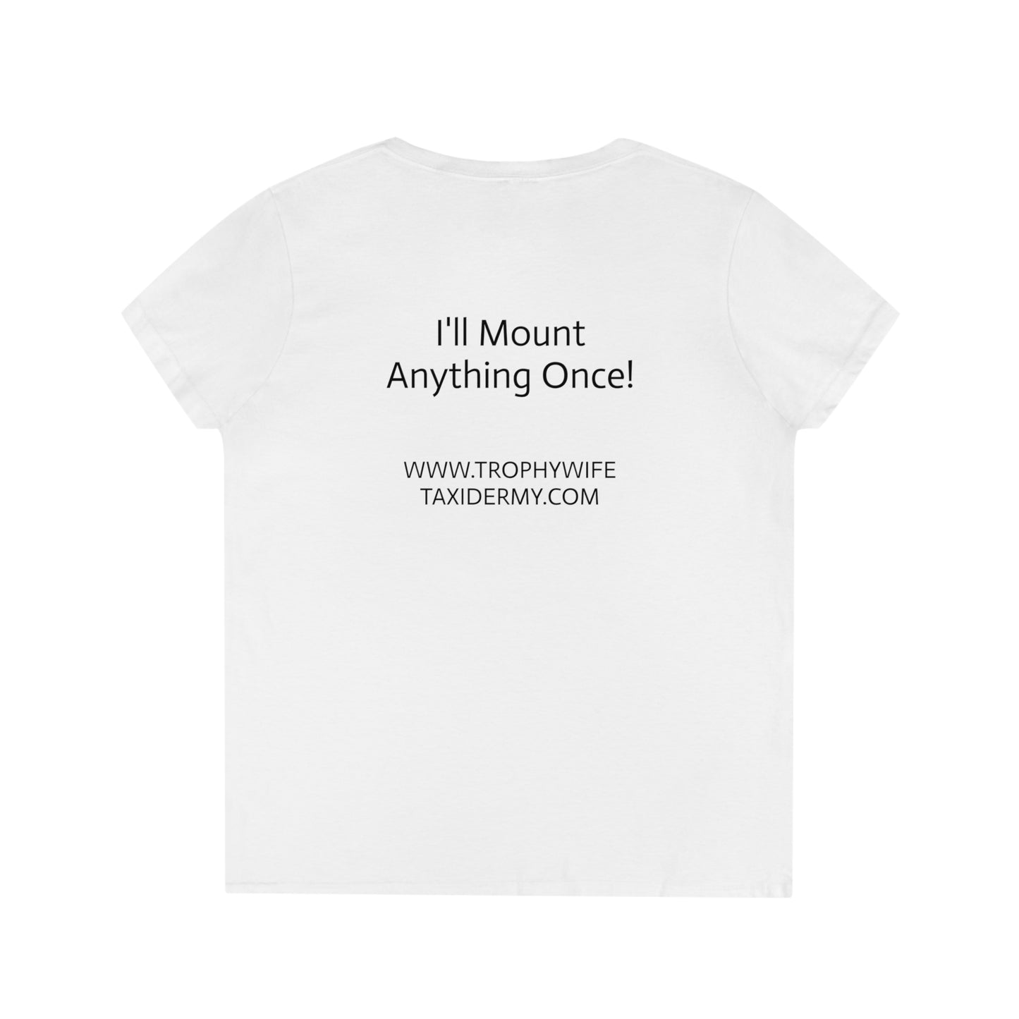 Ladies' V-Neck T-Shirt